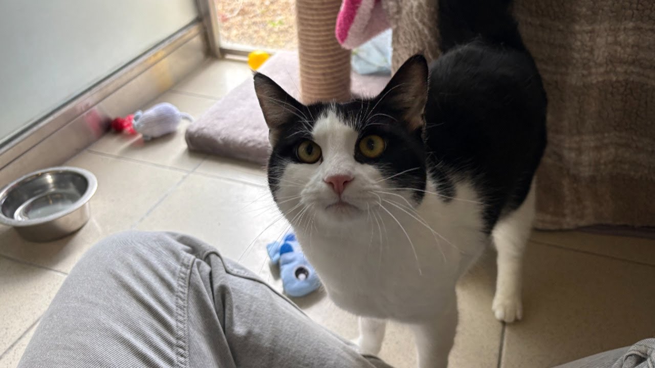 OREO